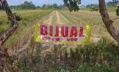 Tanah dijual di Sewon, Bantul