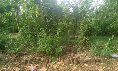 DIJUAL TANAH COCOK UNTUK KANDANG DEKAT SMP N 1 LENDAH JK13230