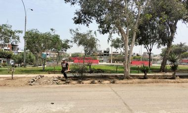 Terreno de Ocasión en el corazón de Carabayllo.