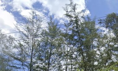 Resort Belitung Holiday Resort  Belitung Sebelah hotel Santika  7.6ha