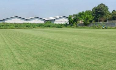 DIJUAL SUPER MURAH TANAH SEWAN NEGLASARI TANGERANG