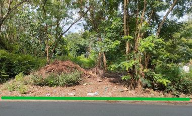 Dijual Tanah Strategis Pinggir Jalan Aspal Dekat Kampus UMY Bantul