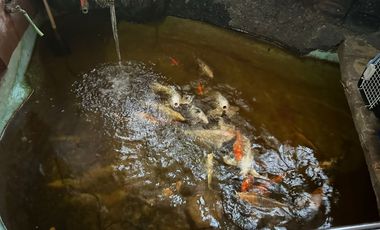 Rumah Siap Huni Komplek Bumi Cibiru Raya