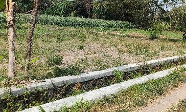 Dijual tanah pekarangan di manisrenggo 135m ld 9m murah 135jt