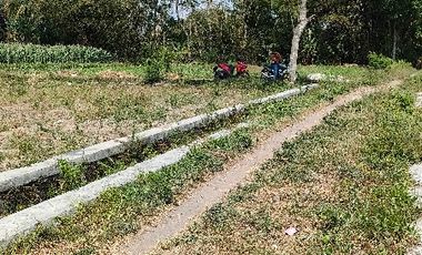 Dijual tanah pekarangan di manisrenggo 135m ld 9m murah 135jt