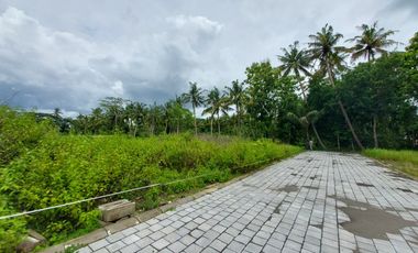 90 JT Tanah Kulonprogo Jogja Dekat Bandara