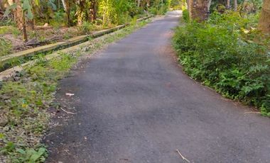 Tanah Bojus Rumah timur lapangan ngestiharjo wates