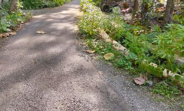 Tanah Bojus Rumah timur lapangan ngestiharjo wates