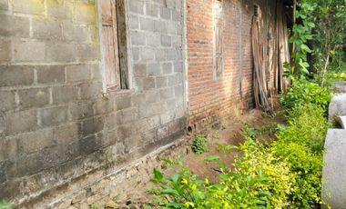 Tanah Bojus Rumah timur lapangan ngestiharjo wates