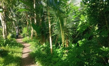 Tanah murah 1km Candi Borobudur 200m dr jalan raya cocok tuk villa