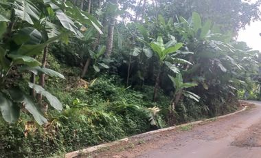 Bating Harga Murah  mangku aspal 10 mnt kota wates pas tuk hunian