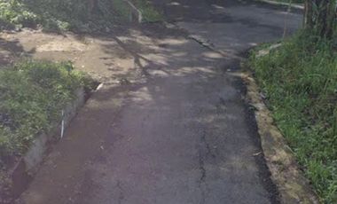 Tana Bonus baguna gudang cabai aksea aspal truk lancar