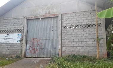 Tana Bonus baguna gudang cabai aksea aspal truk lancar