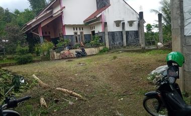 Tana Bonus baguna gudang cabai aksea aspal truk lancar