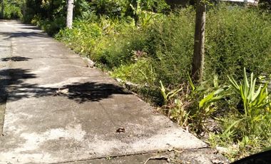 Tana Murah 1 km dari RS PKU Wates aksea strategis