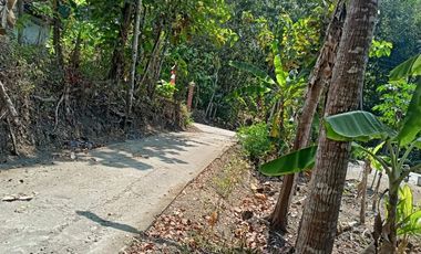 Tana view sawah area nanggulan harga termurah akses mudah