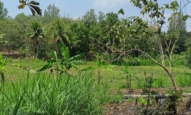 Tana view sawah area nanggulan harga termurah akses mudah