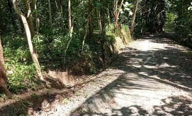 Banting harga sangat murah tanah istimewa 300m dari Jl Boro