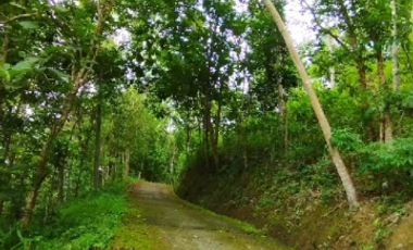 Tanah view waduk sermo cocok  tuk villa maupun hunian