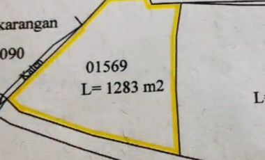 Tanah view waduk sermo cocok  tuk villa maupun hunian