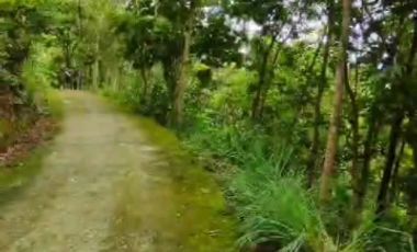 Tanah view waduk sermo cocok  tuk villa maupun hunian