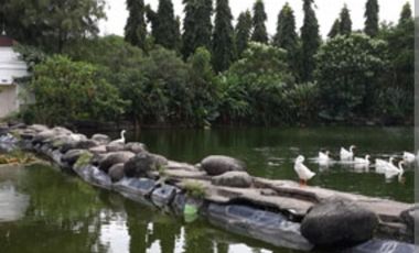 Sewa Rumah Pakuwon Indah Full Furnished 400m2 Bagus Murah