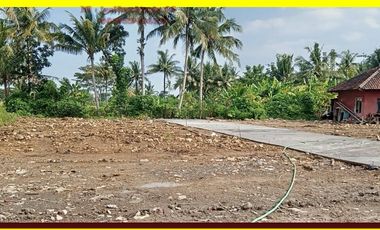 Tanah Siap AJB tanah tawangsari dekat bandara YIA