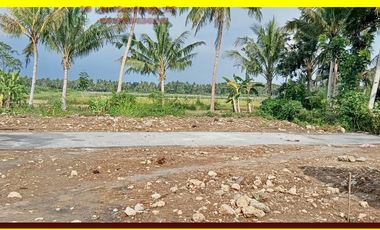 Tanah Siap AJB tanah tawangsari dekat bandara YIA