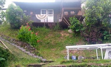 Land for Rent in Baturiti, 300m from House of Tundra, 5 min to Beratan