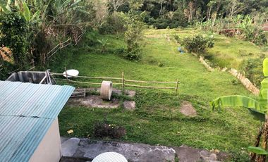 Land for Rent in Baturiti, 300m from House of Tundra, 5 min to Beratan