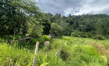 Land for Rent in Baturiti, 300m from House of Tundra, 5 min to Beratan