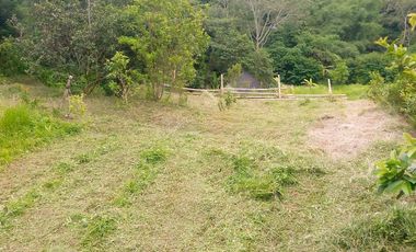 Land for Rent in Baturiti, 300m from House of Tundra, 5 min to Beratan