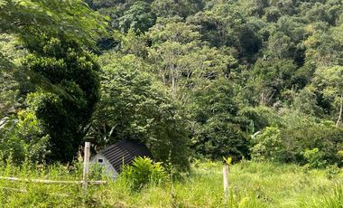 Land for Rent in Baturiti, 300m from House of Tundra, 5 min to Beratan