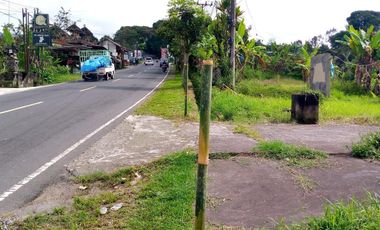 Land for Rent in Baturiti, 300m from House of Tundra, 5 min to Beratan