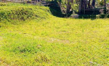 Land for Rent in Baturiti, 300m from House of Tundra, 5 min to Beratan