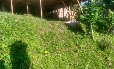 Land for Rent in Baturiti, 300m from House of Tundra, 5 min to Beratan