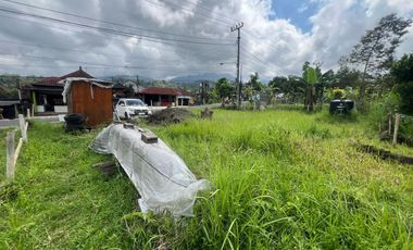 Land for Rent in Baturiti, 300m from House of Tundra, 5 min to Beratan