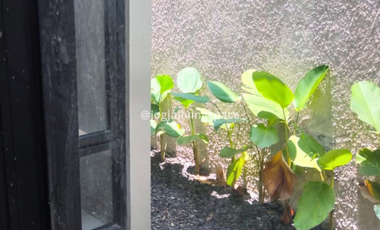 A162 - Rumah Baru Minimalis Modern di Wedomertani