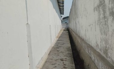 Dijual Cepat Gudang di Kamal Muara Kalideres, Jakarta Barat
