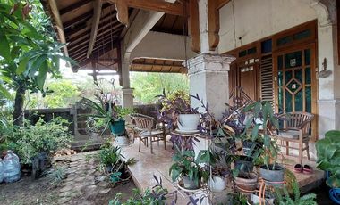 RUMAH 6 KT DEKAT TERMINAL GIWANGAN