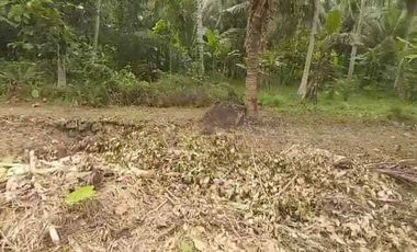 DIJUAL TANAH KAVLING MULAI  45 JUTA LOKASI LENDAH KULON PROGO.JK13297