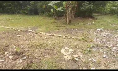 DIJUAL TANAH KAVLING MULAI  45 JUTA LOKASI LENDAH KULON PROGO.JK13297