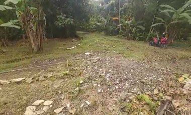 DIJUAL TANAH KAVLING MULAI  45 JUTA LOKASI LENDAH KULON PROGO.JK13297