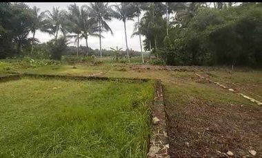 DIJUAL TANAH KAVLING MULAI  45 JUTA LOKASI LENDAH KULON PROGO.JK13297