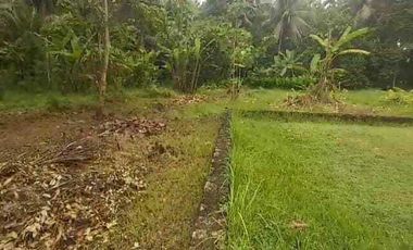 DIJUAL TANAH KAVLING MULAI  45 JUTA LOKASI LENDAH KULON PROGO.JK13297