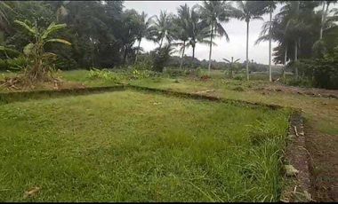 DIJUAL TANAH KAVLING MULAI  45 JUTA LOKASI LENDAH KULON PROGO.JK13297