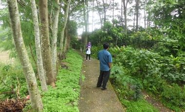 Tanah Di Pondok Gede Permai Bekasi
