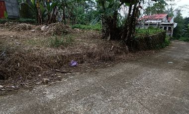 Tanah murah jalan cor jawisari