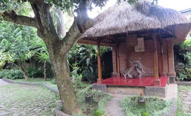 Traditional Balinese Villa and Bungalows for sale in Denpasar, Bali