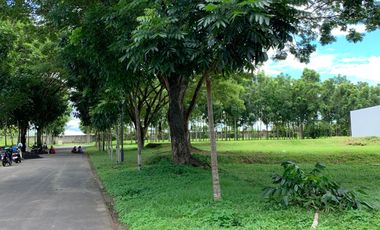 Tanah kapling di kompleks perumahan elit dan asri di mataram